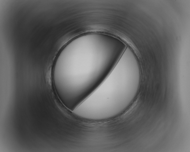 X0000102400842200808010953