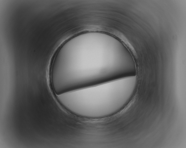 X0000102400845200808010953