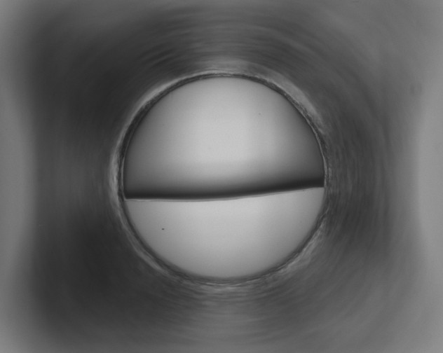 X0000102400846200808010953