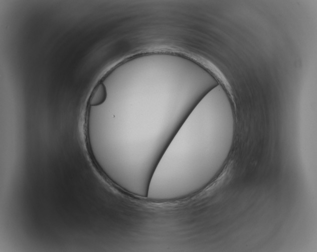X0000102400847200808010953