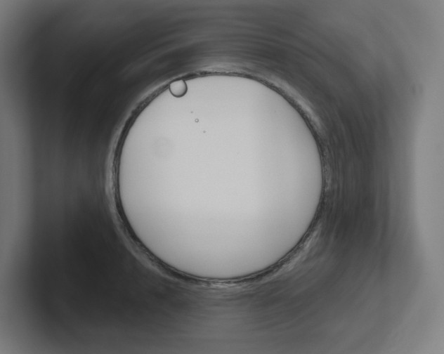 X0000102400848200808010953