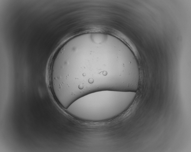 X0000102400851200808010953