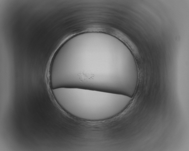 X0000102400852200808010953
