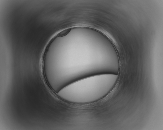 X0000102400854200808010953
