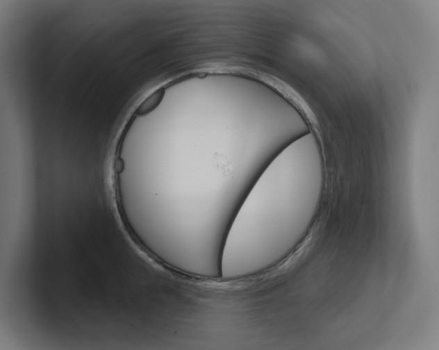 X0000102400855200808010954