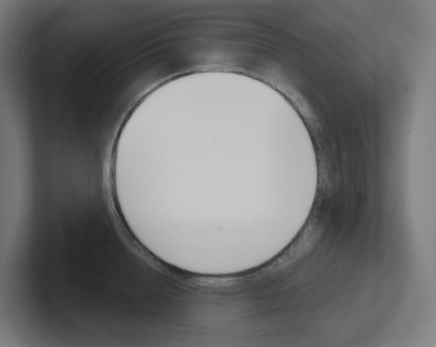 X0000102400856200808010954