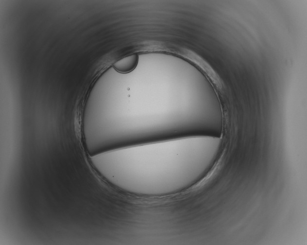 X0000102400857200808010954