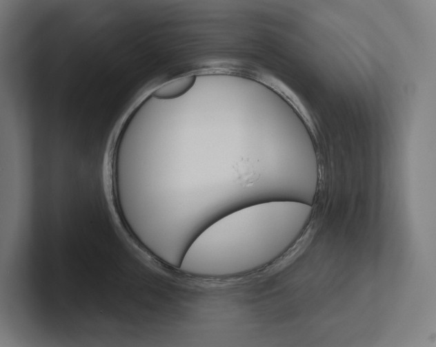 X0000102400859200808010954