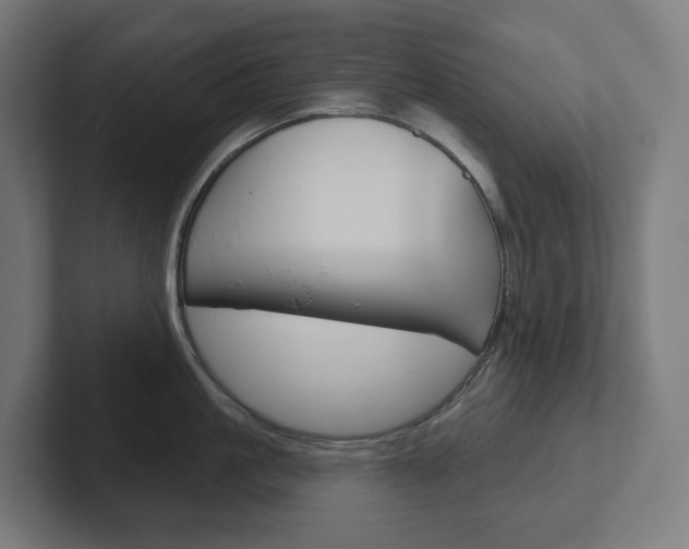 X0000102400861200808010954