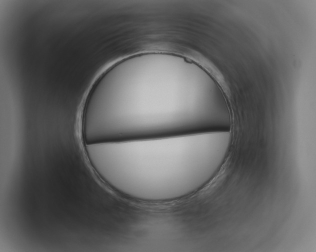 X0000102400862200808010954