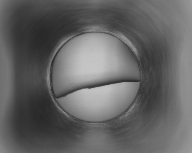 X0000102400863200808010954