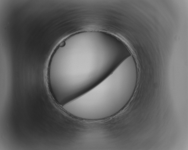 X0000102400864200808010954