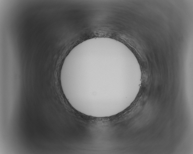 X0000102400865200808010953