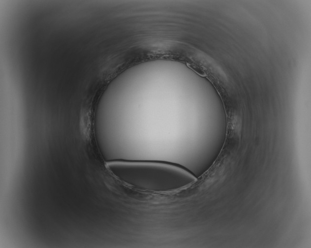 X0000102400868200808010953