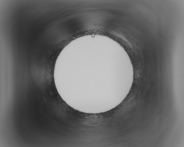 X0000102400869200808010953