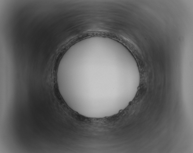 X0000102400870200808010953