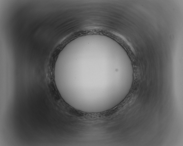 X0000102400871200808010953