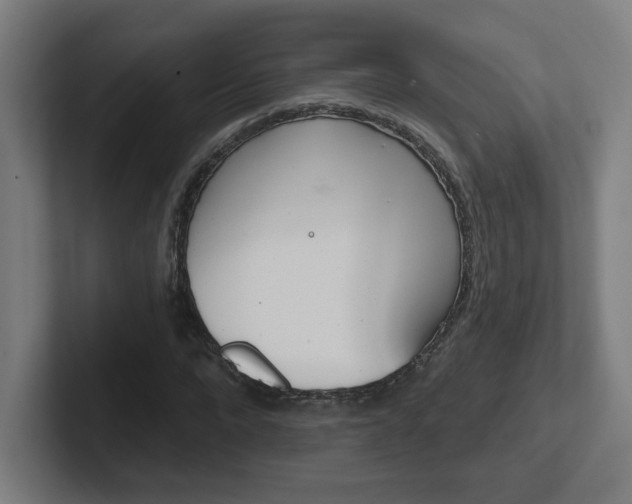X0000102400872200808010953