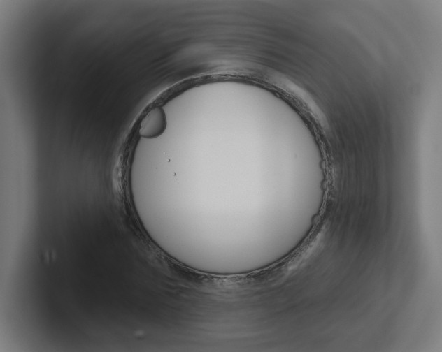 X0000102400875200808010953