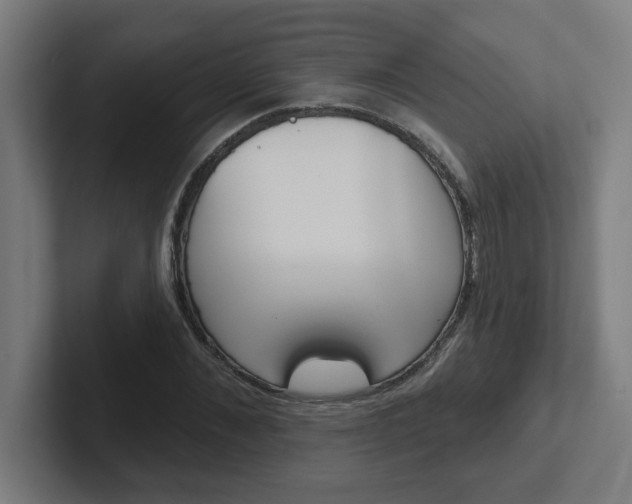 X0000102400876200808010953