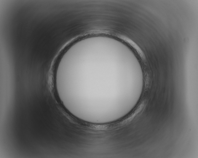 X0000102400878200808010953