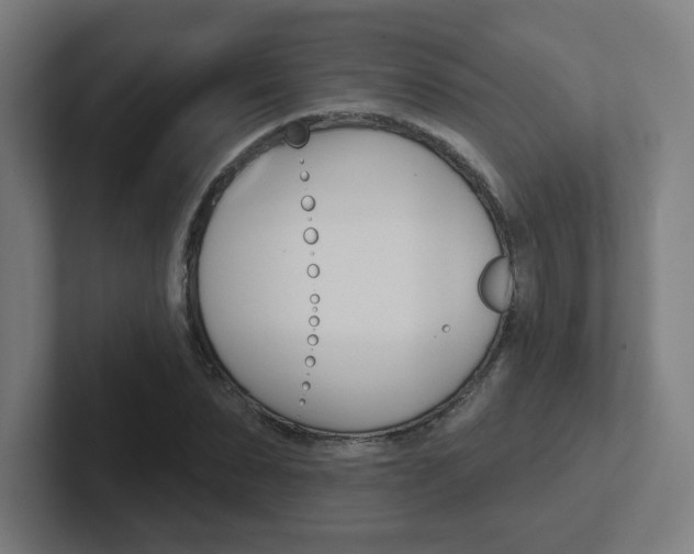 X0000102400879200808010953