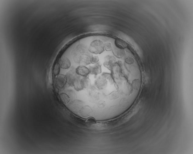 X0000102400883200808010953