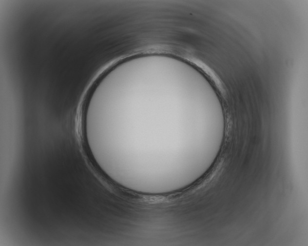 X0000102400886200808010953