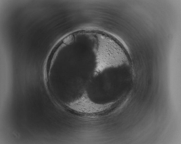 X0000102400887200808010953