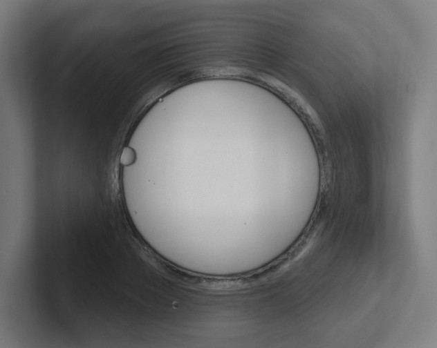 X0000102400889200808010953