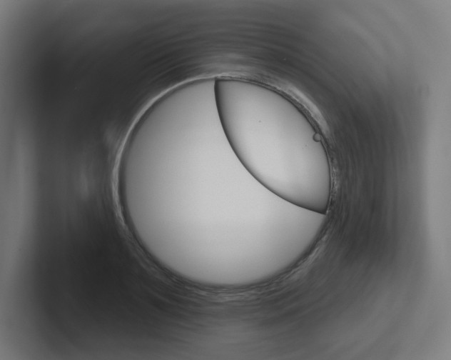 X0000102400891200808010953