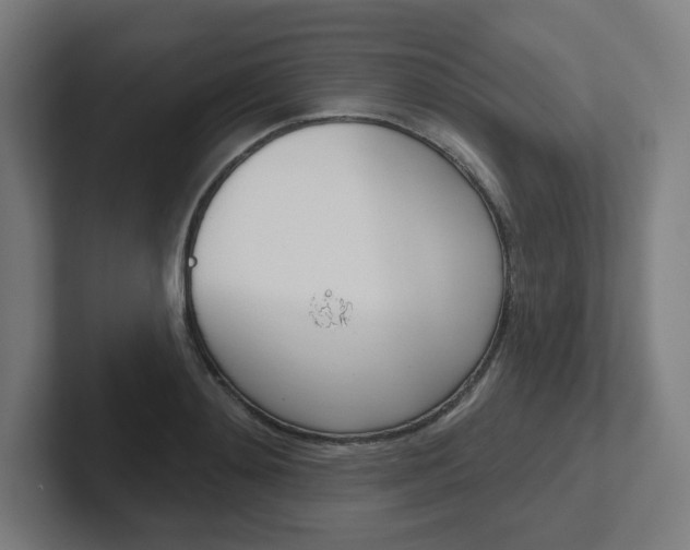 X0000102400892200808010953