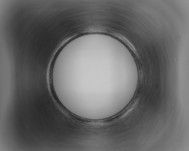 X0000102400893200808010953