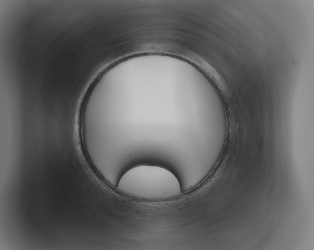 X0000102400896200808010953