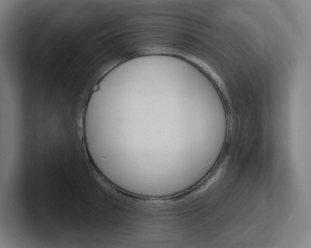X0000102400897200808010953