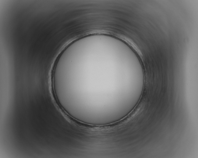 X0000102400898200808010953