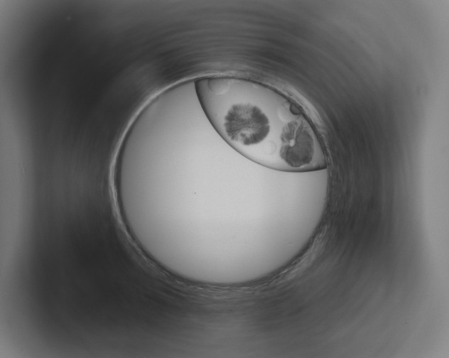 X0000102400899200808010953
