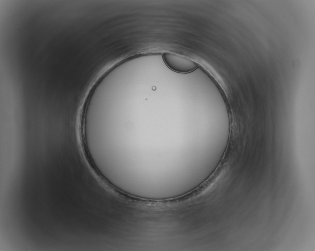X0000102400901200808010953