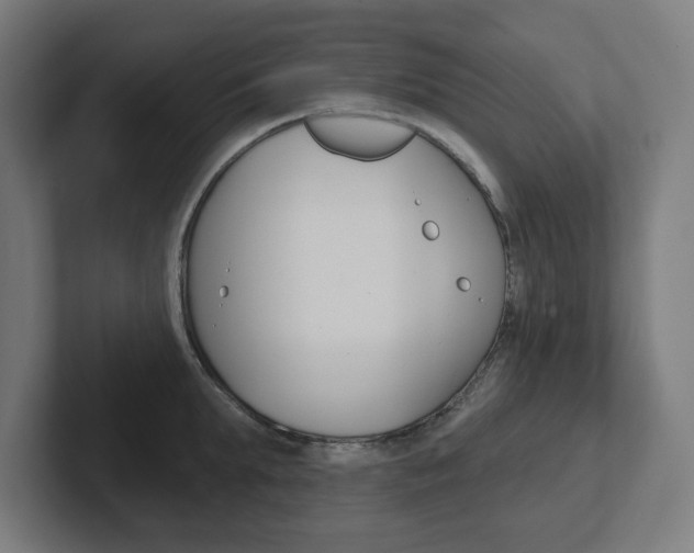 X0000102400903200808010953