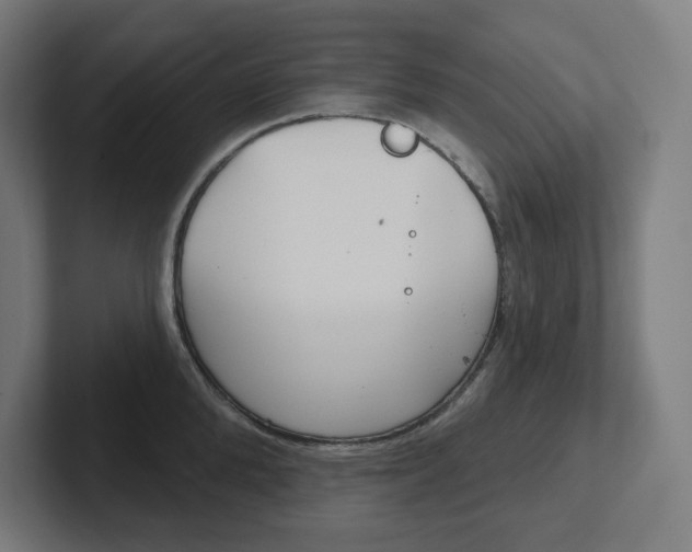 X0000102400904200808010952