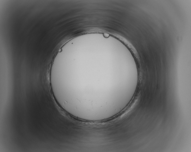 X0000102400905200808010952