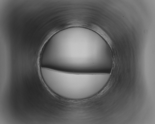 X0000102400906200808010952