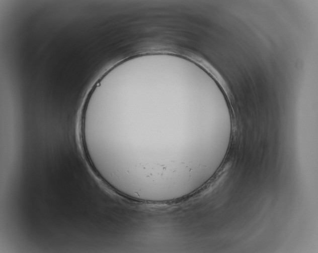 X0000102400909200808010952