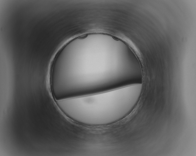 X0000102400910200808010952