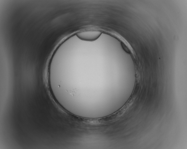 X0000102400911200808010952
