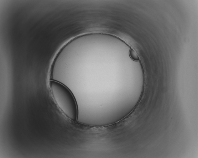 X0000102400912200808010952