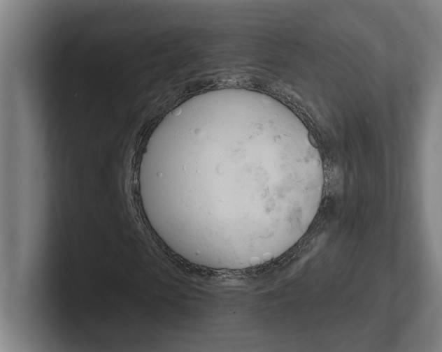 X0000102400913200808010952