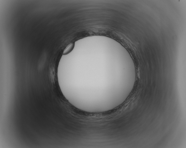 X0000102400915200808010952
