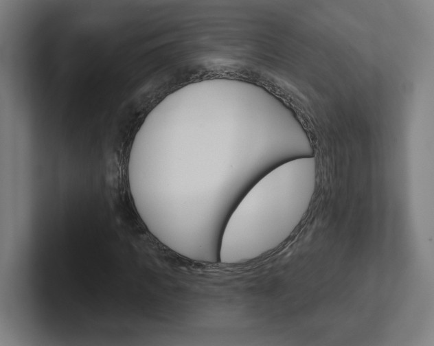X0000102400917200808010952