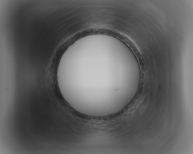 X0000102400919200808010952